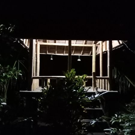 Bali Mountain Forest Cabin Penebel Kültér fotó