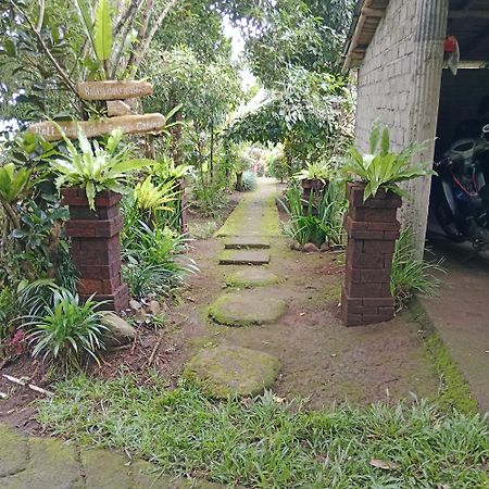 Bali Mountain Forest Cabin Penebel Kültér fotó