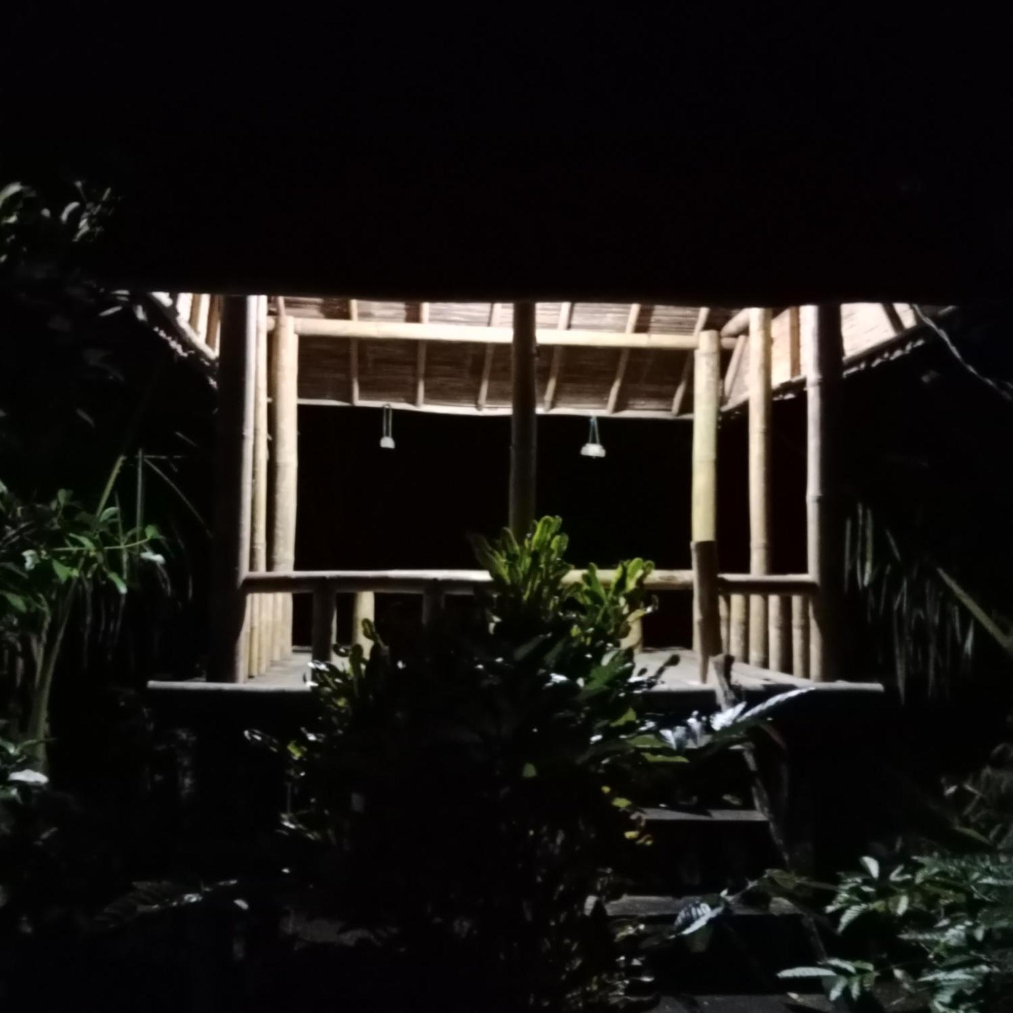 Bali Mountain Forest Cabin Penebel Kültér fotó