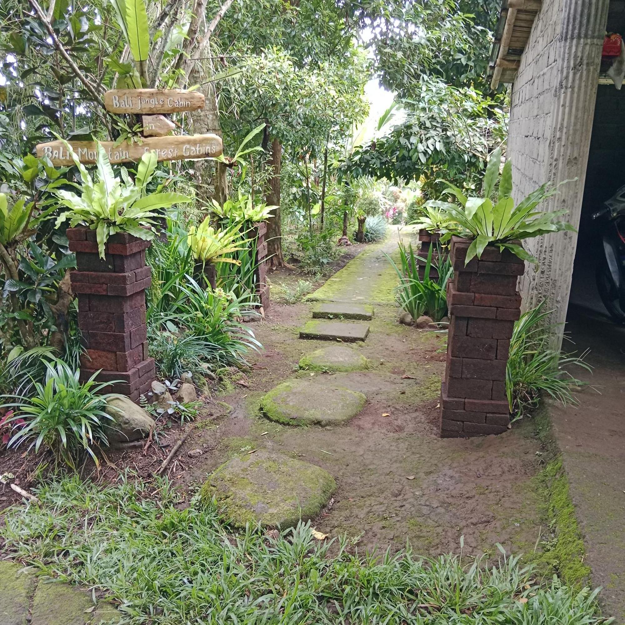 Bali Mountain Forest Cabin Penebel Szoba fotó
