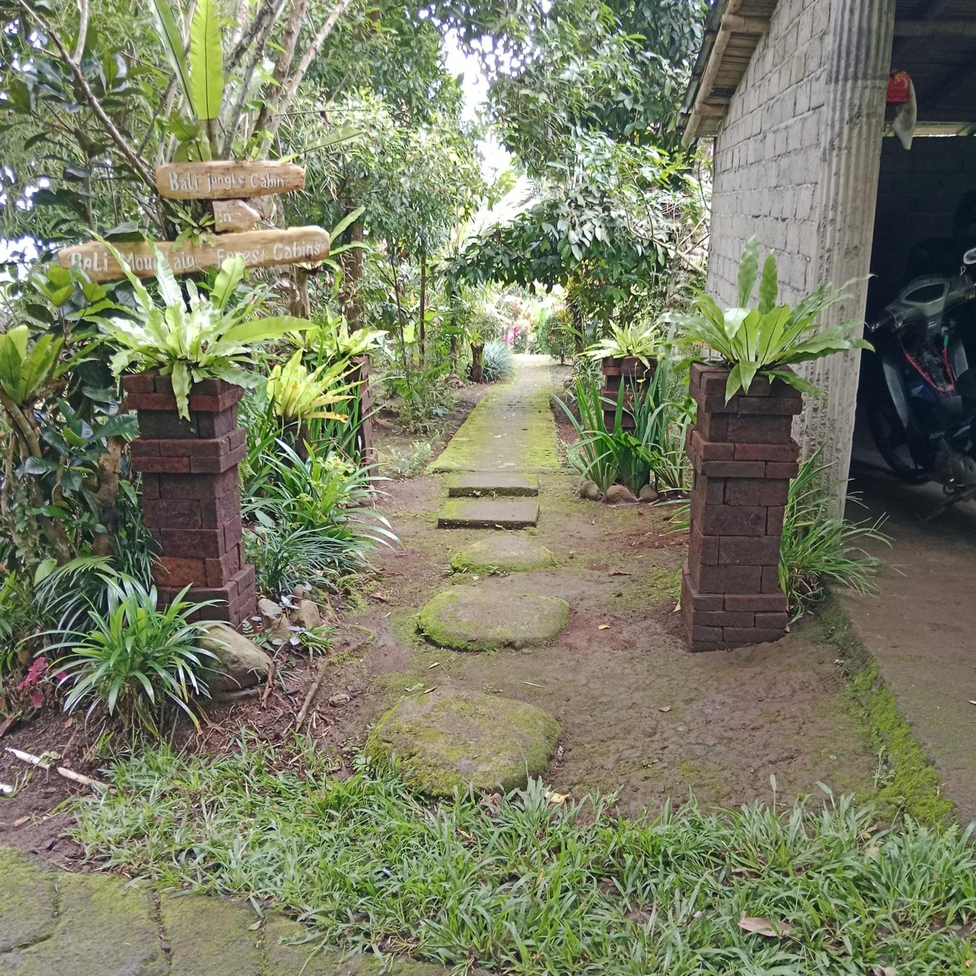 Bali Mountain Forest Cabin Penebel Kültér fotó