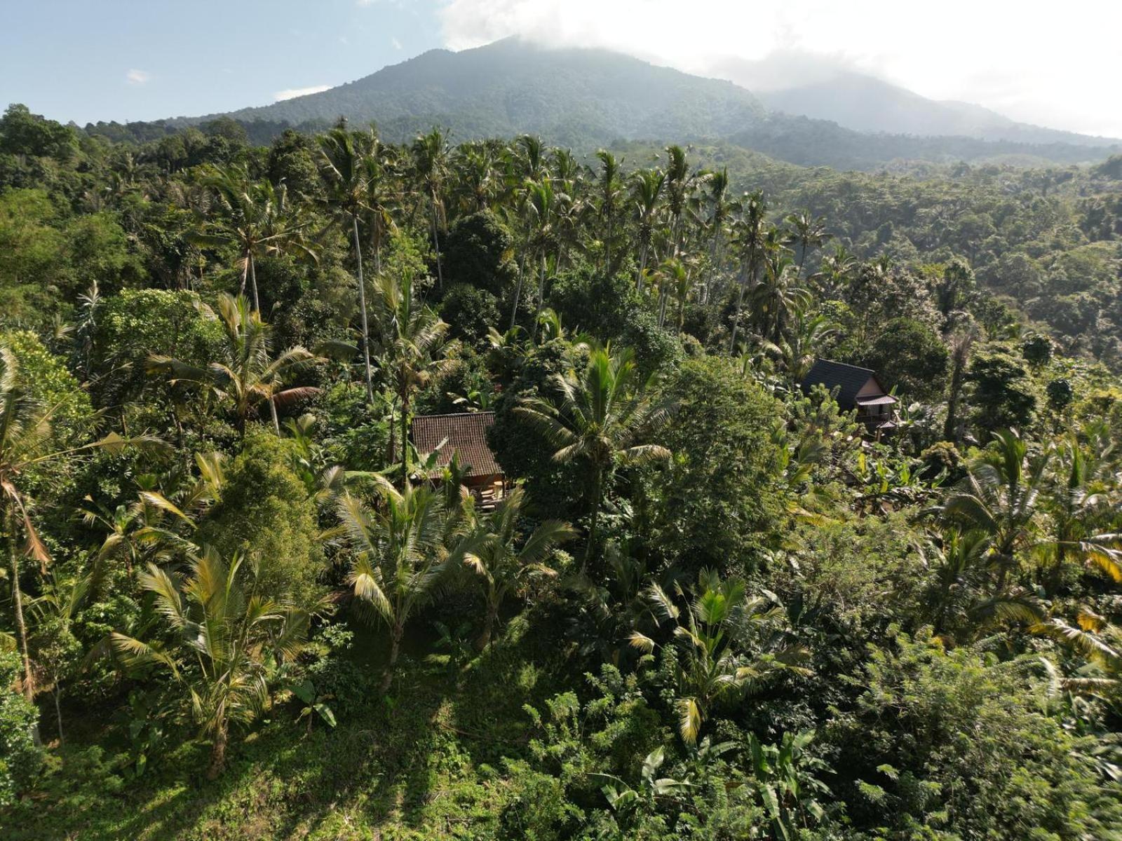 Bali Mountain Forest Cabin Penebel Szoba fotó
