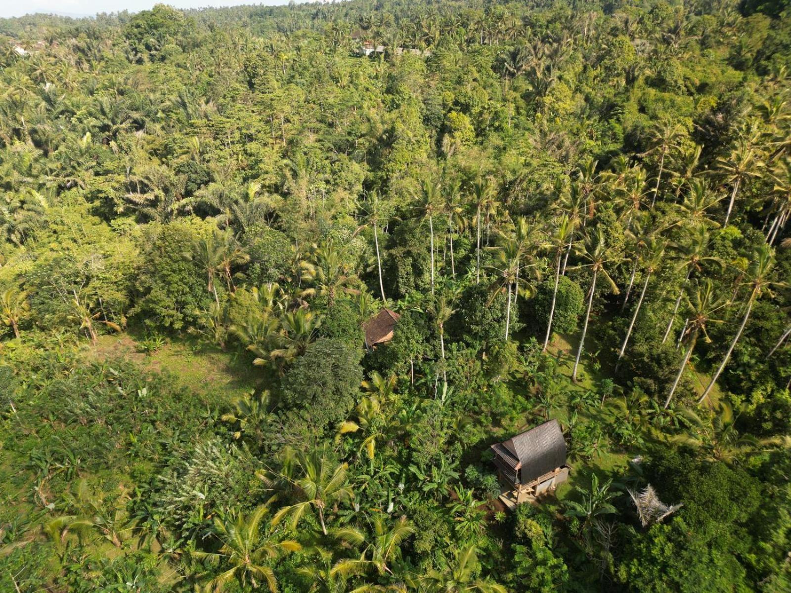 Bali Mountain Forest Cabin Penebel Szoba fotó