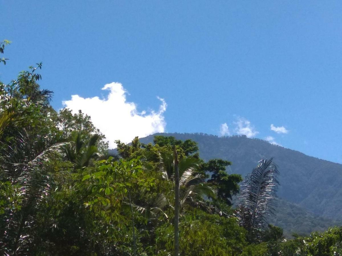 Bali Mountain Forest Cabin Penebel Kültér fotó