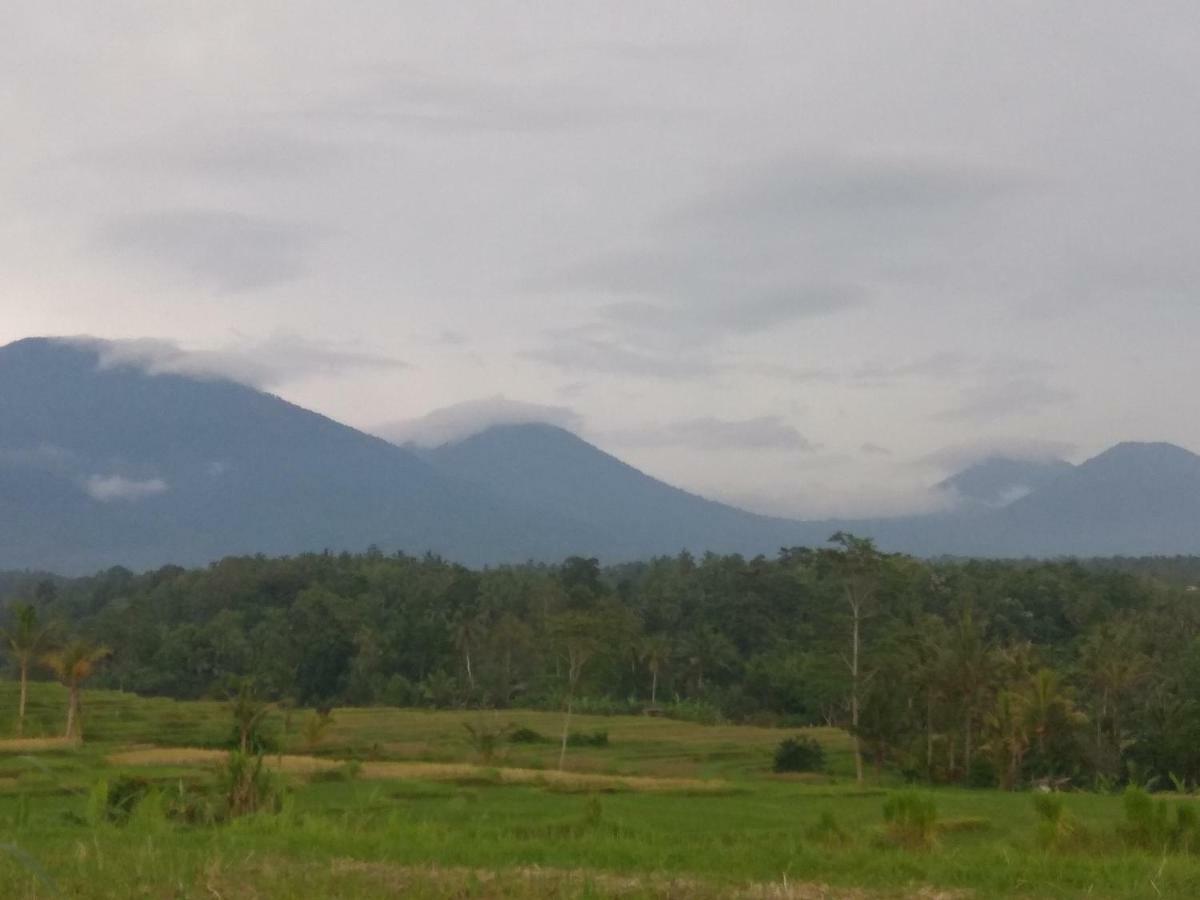 Bali Mountain Forest Cabin Penebel Kültér fotó