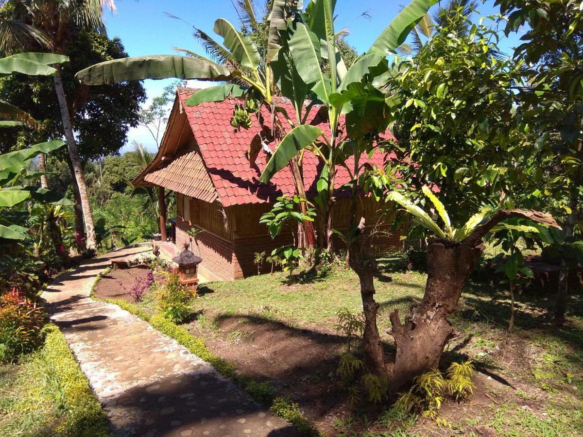 Bali Mountain Forest Cabin Penebel Kültér fotó