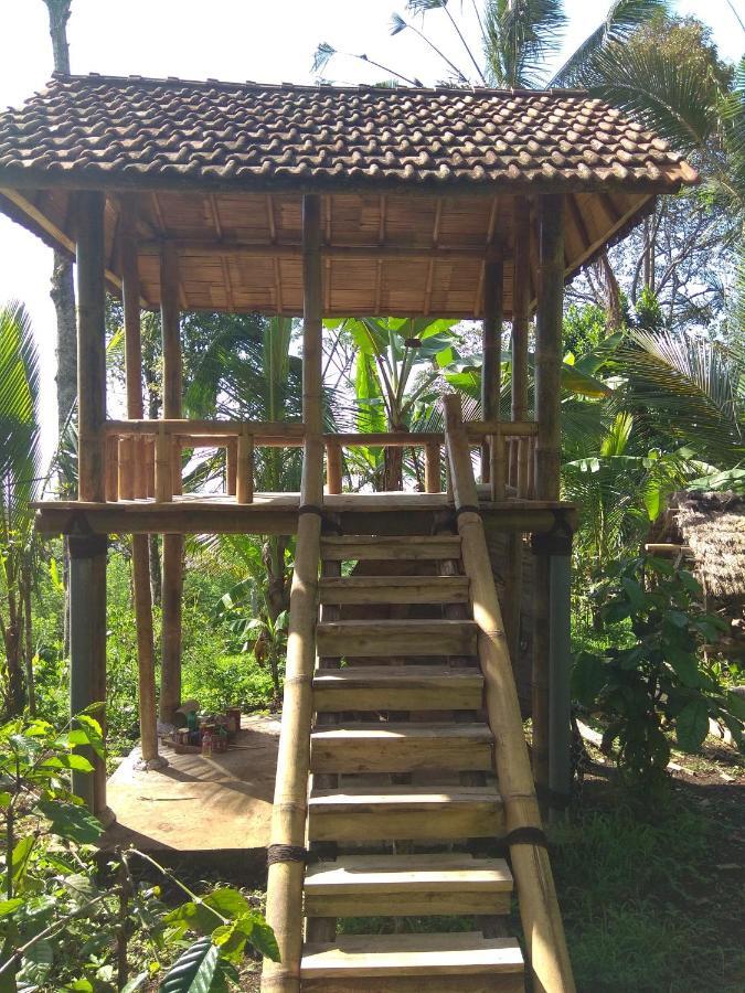 Bali Mountain Forest Cabin Penebel Szoba fotó