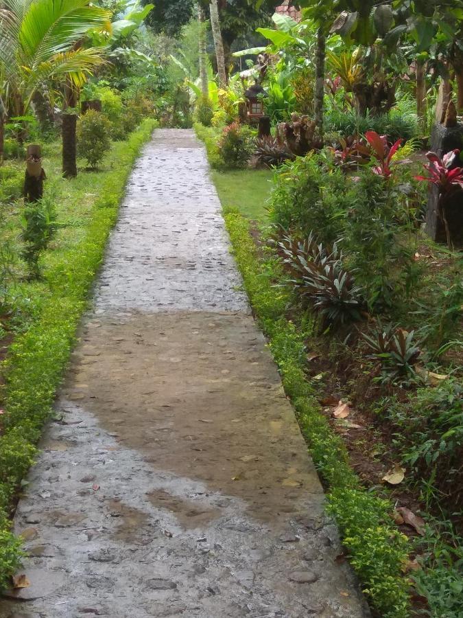 Bali Mountain Forest Cabin Penebel Kültér fotó